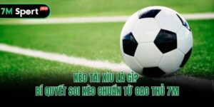 Kèo Tài Xỉu Là Gì? Bí Quyết Soi Kèo Chuẩn Từ Cao Thủ 7M