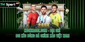 Keonhacai.com - Địa Chỉ Soi Kèo Bóng Đá Chính Xác Việt Nam
