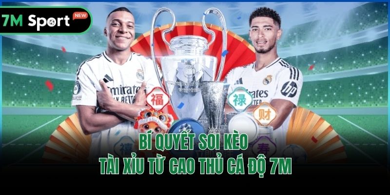 Bí quyết soi kèo tài xỉu từ cao thủ cá độ 7M