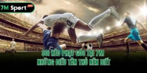 Soi Kèo Phạt Góc Tại 7M - Những Điều Tân Thủ Nên Biết