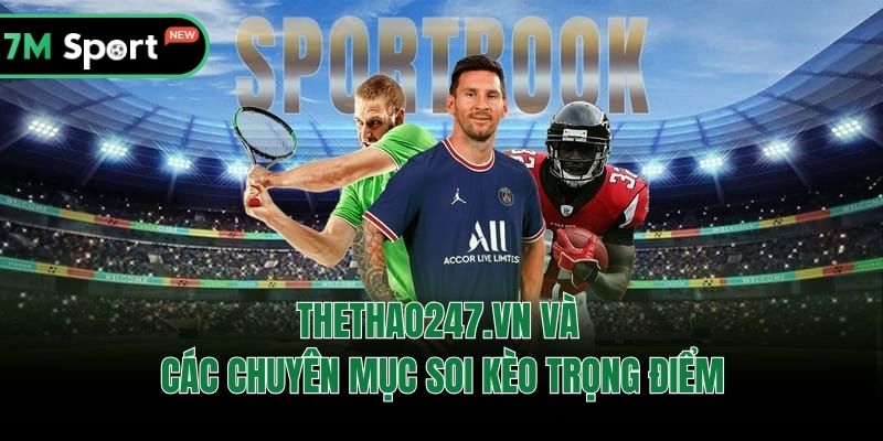 Thethao247.vn và các chuyên mục soi kèo trong điểm