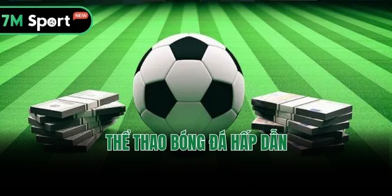 Thể thao bóng đá hấp dẫn