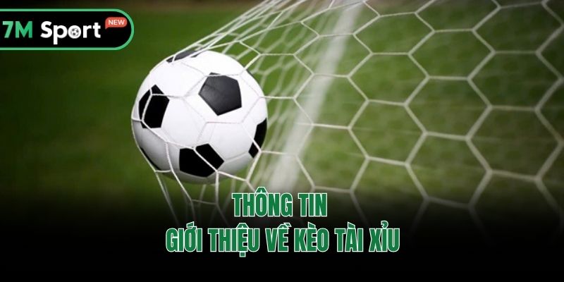 Thông tin giới thiệu về kèo tài xỉu
